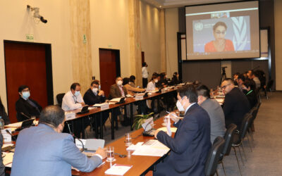 Desarme y no proliferación de armas de destrucción en masa: UNLIREC organiza taller sobre tratados internacionales para autoridades peruanas